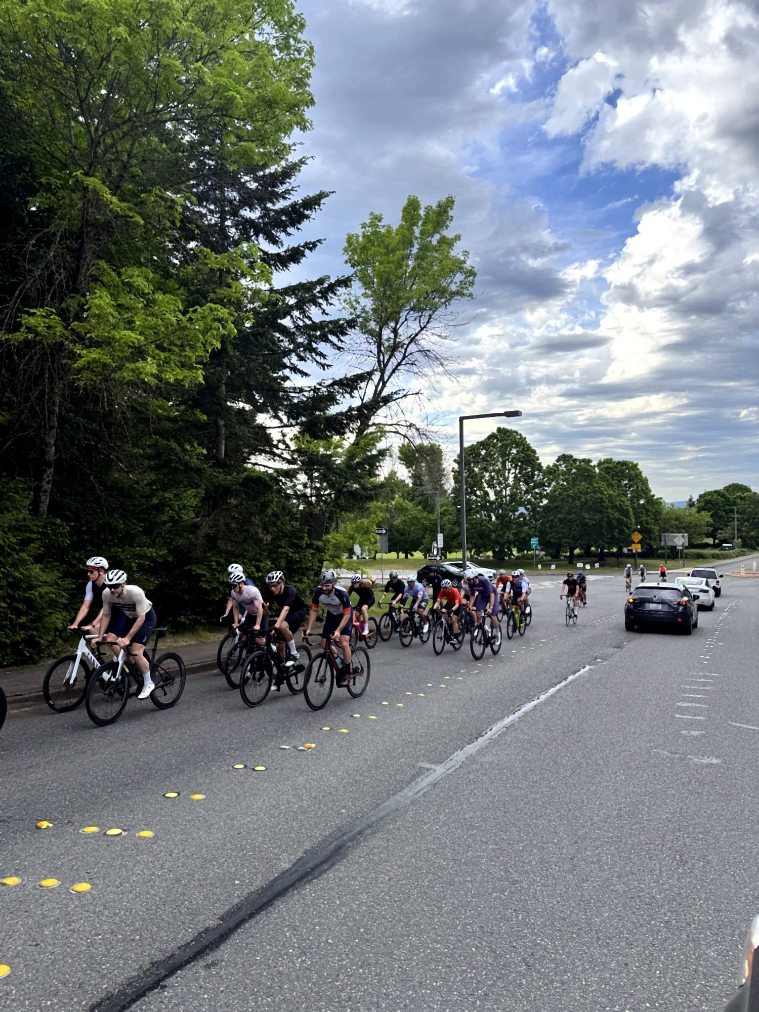 Bike lane on a quiet Mercer Island street